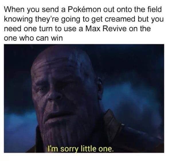 I’m sorry - meme