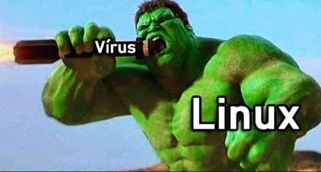 Good vírus - meme