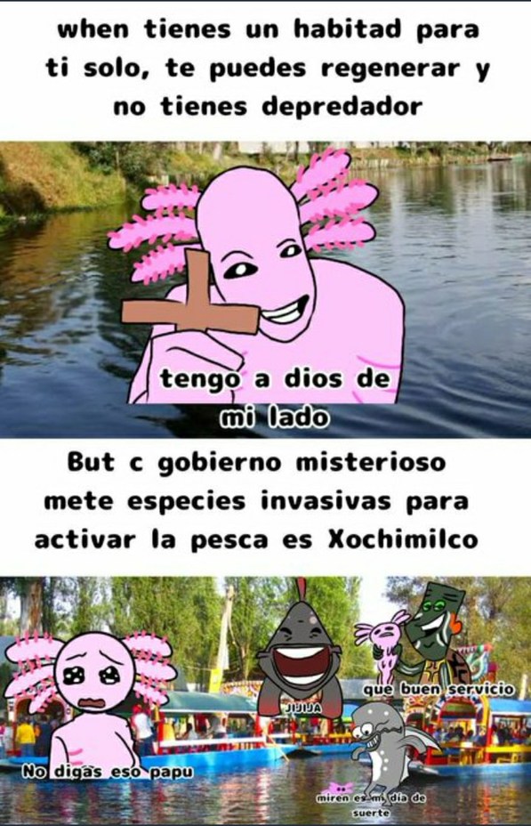Suchimilco - meme