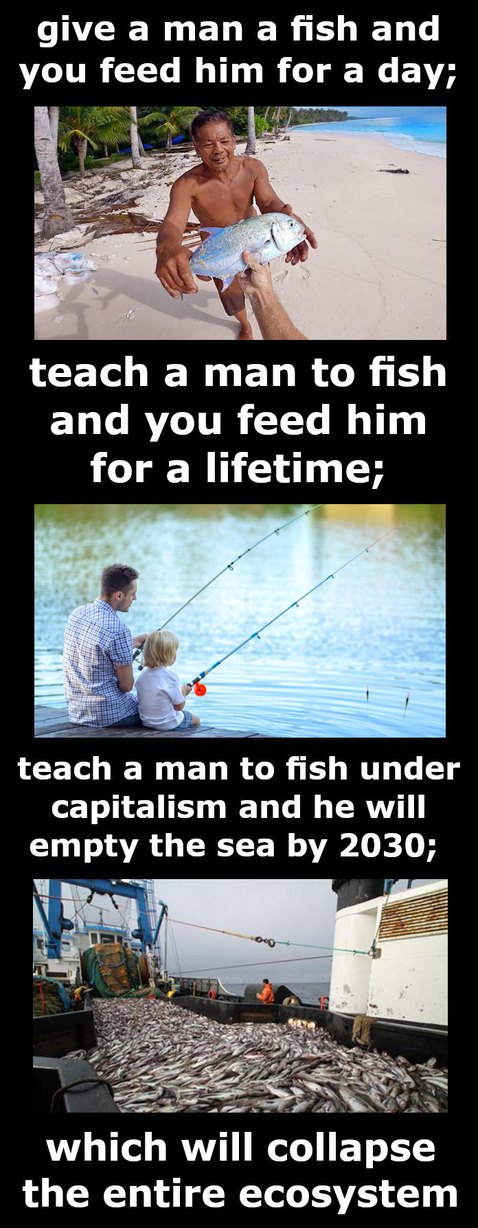 Give a man a fish ... - meme