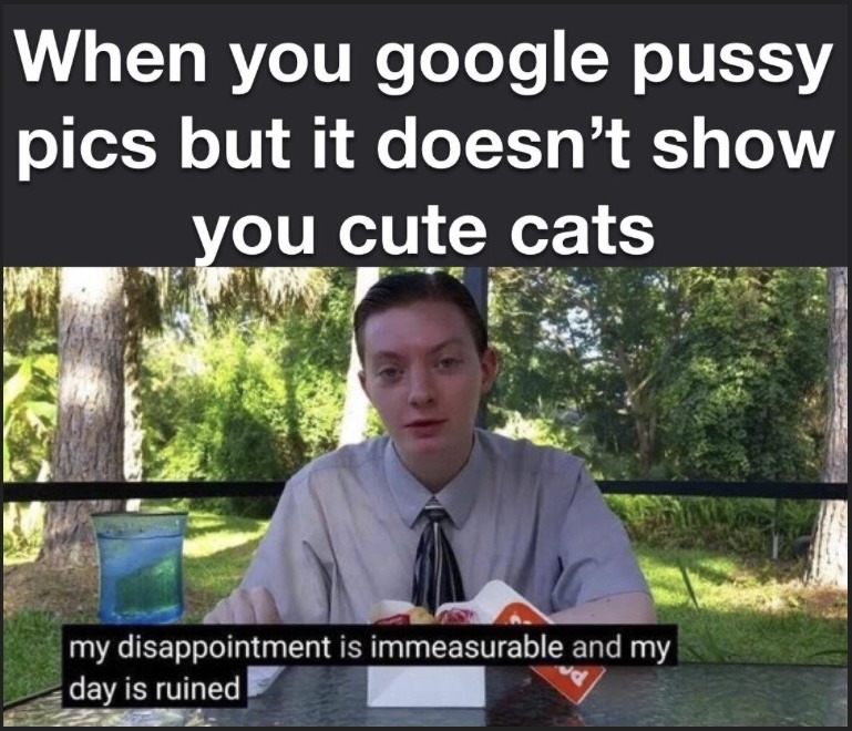 I just wanted to see Maine Coon! - meme