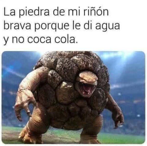 meme de piedras en el riñon