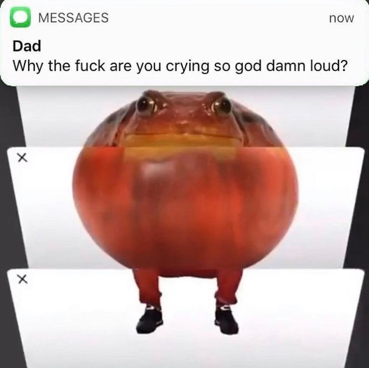 tomato frog - meme