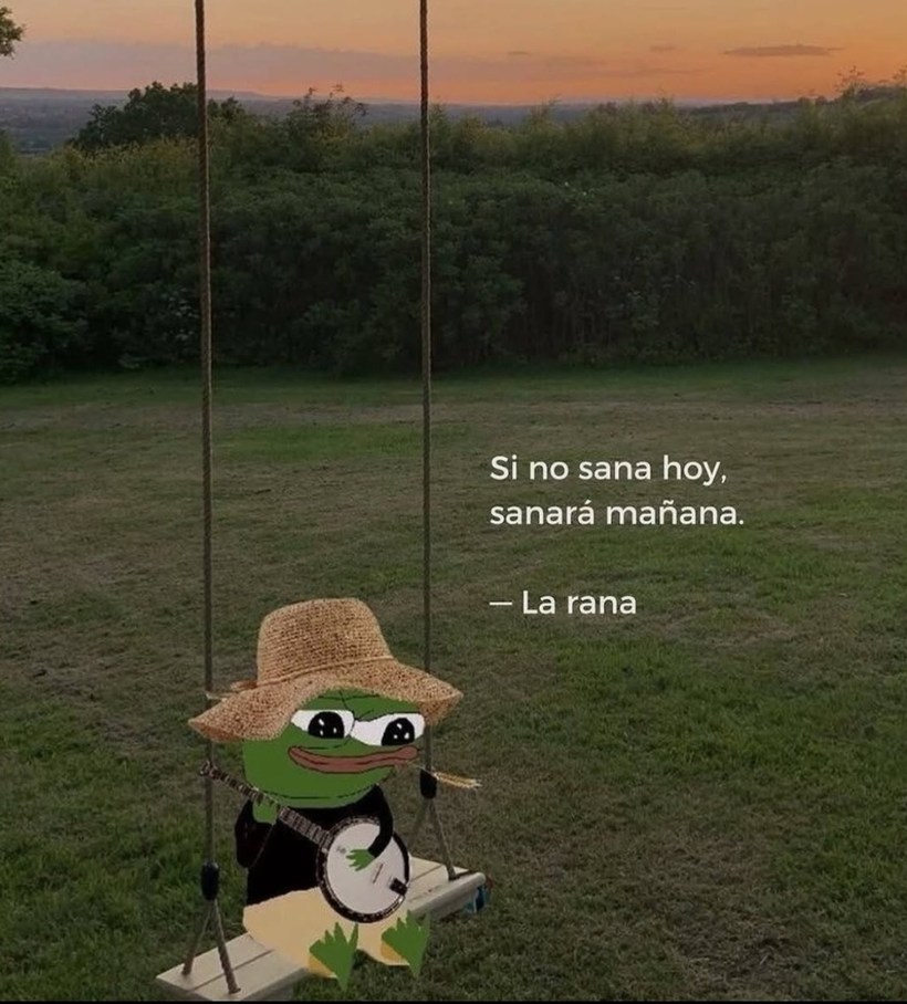 Si no sana, sanará. Si no, igual. La rana lo dijo - meme