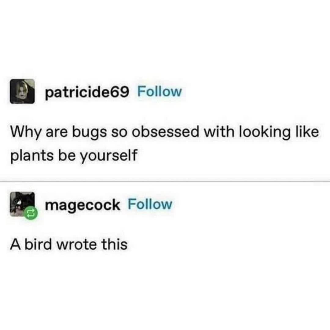 Why are bugs so obsessed with looking like plants be yourself - meme