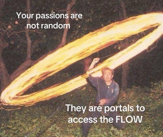 embrace the flow - meme