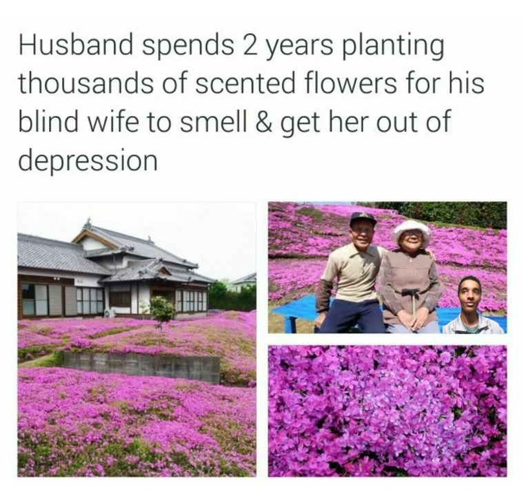 Scented Flowers - meme