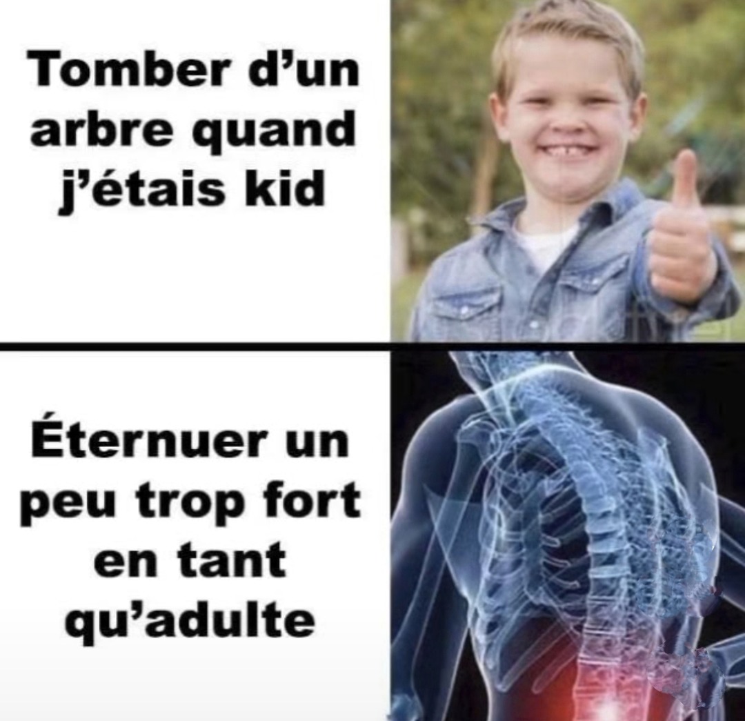 Enfant je tombais d'arbres, adulte j'éternue et j'ai mal au dos - meme