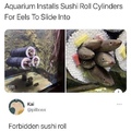forbidden sushi roll
