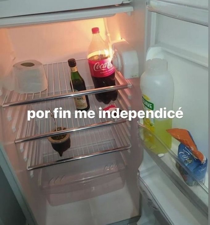 Oficialmente ya vivo solx y ya me arrepentí - meme