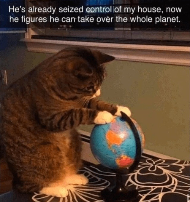 He took over the house, now he wants Earth too - meme