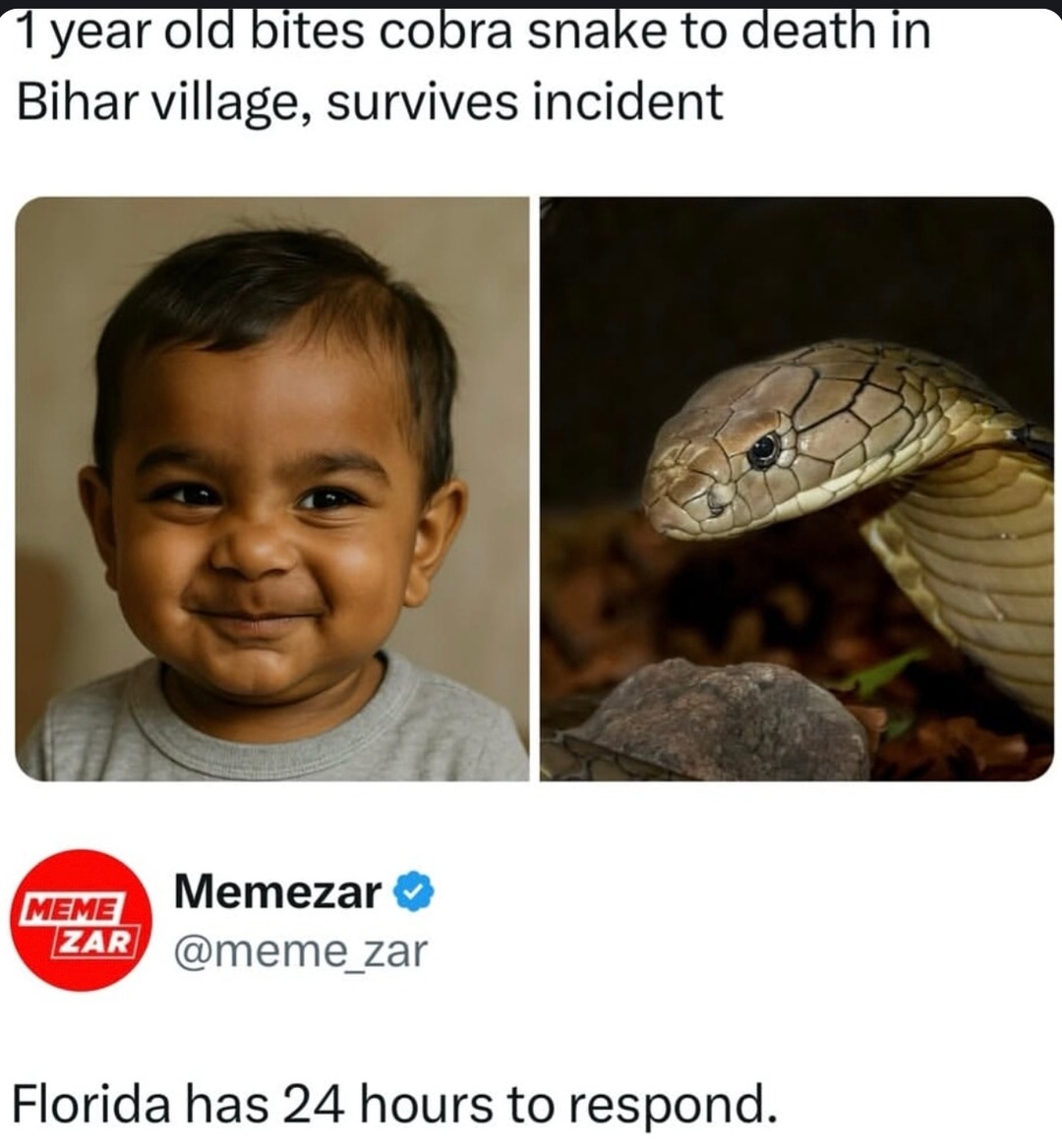 5-year-old defeats cobra with teeth - meme
