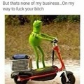 Kermit the pimp