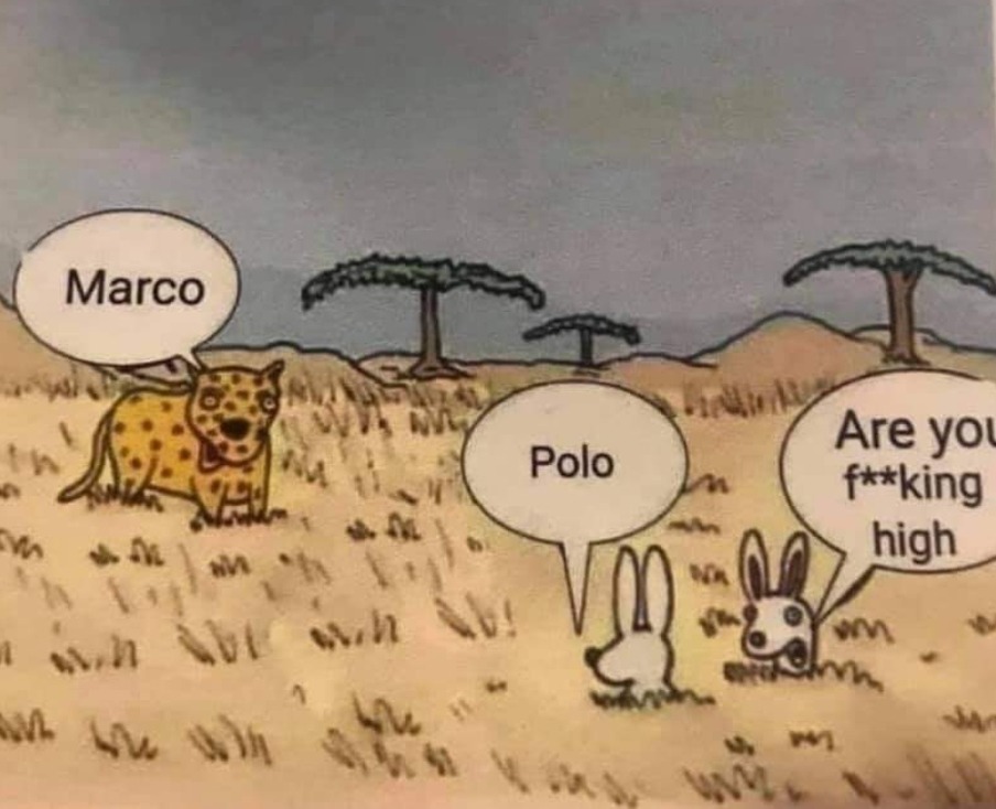 Marco - meme