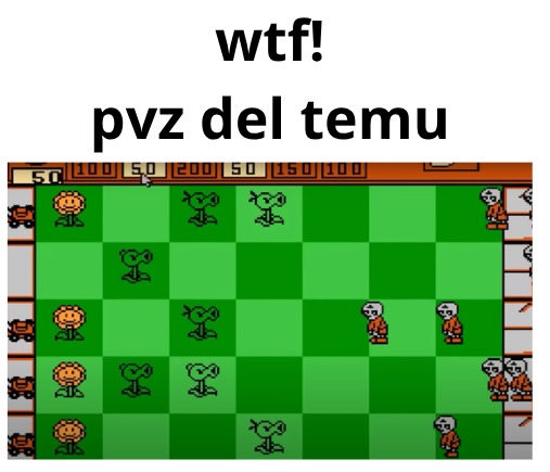 pv del temu - meme