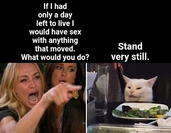 ﻿If had only a left to live | would have sex with anything that moved Stand What would you do? very still: day