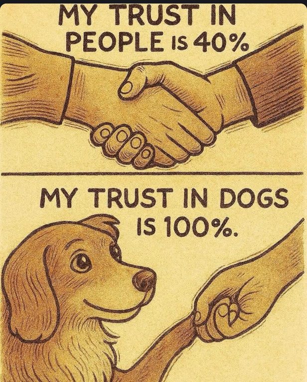 Humans? 40% trust. Dogs? 100% loyalty. - meme