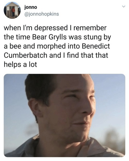 Bearnedict Cumbergrylls - meme
