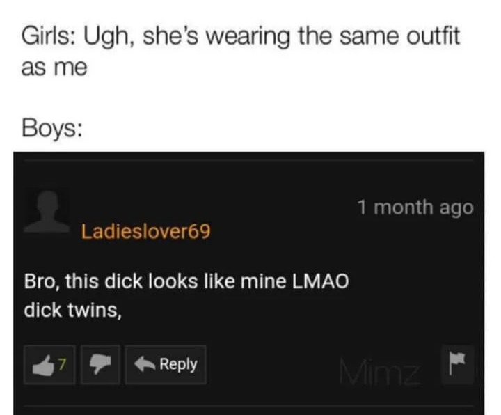 Dick twins - meme