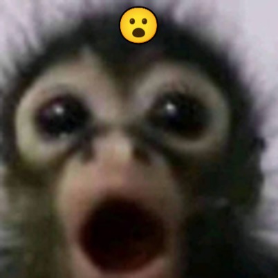 Mono sorprendido - meme