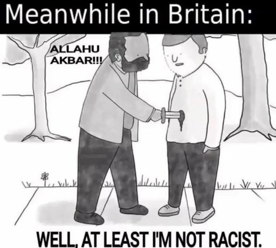 Cultural enrichment - meme