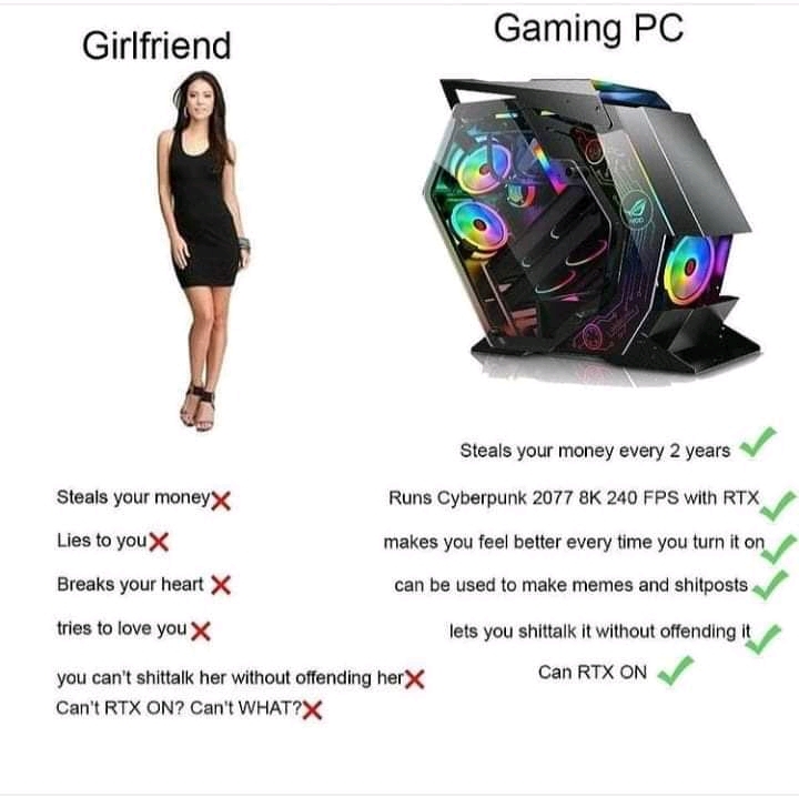 Girlfriend vs. Gaming PC - meme