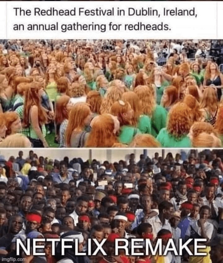 Netflix is racist - meme
