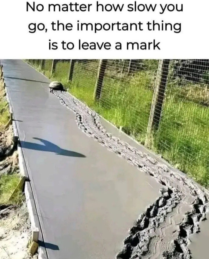  - meme