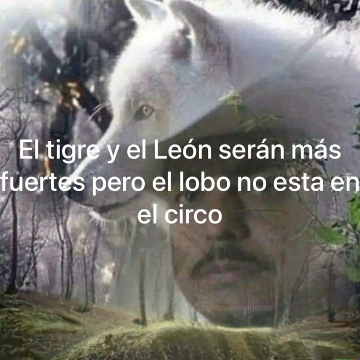 Xq - meme