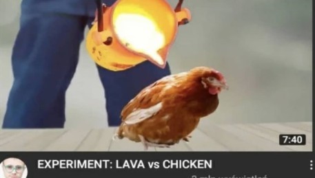 Lava vs pollo - meme