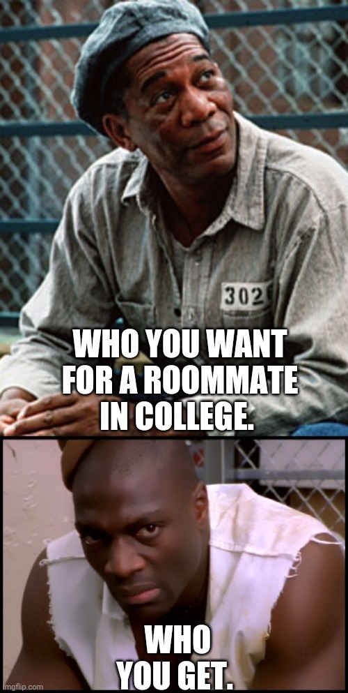 Roommates! - meme