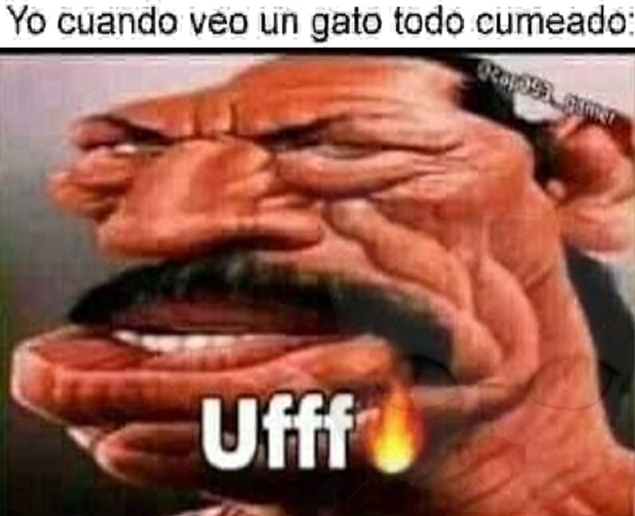 Top Memes De Uff En Español Memedroid 6884