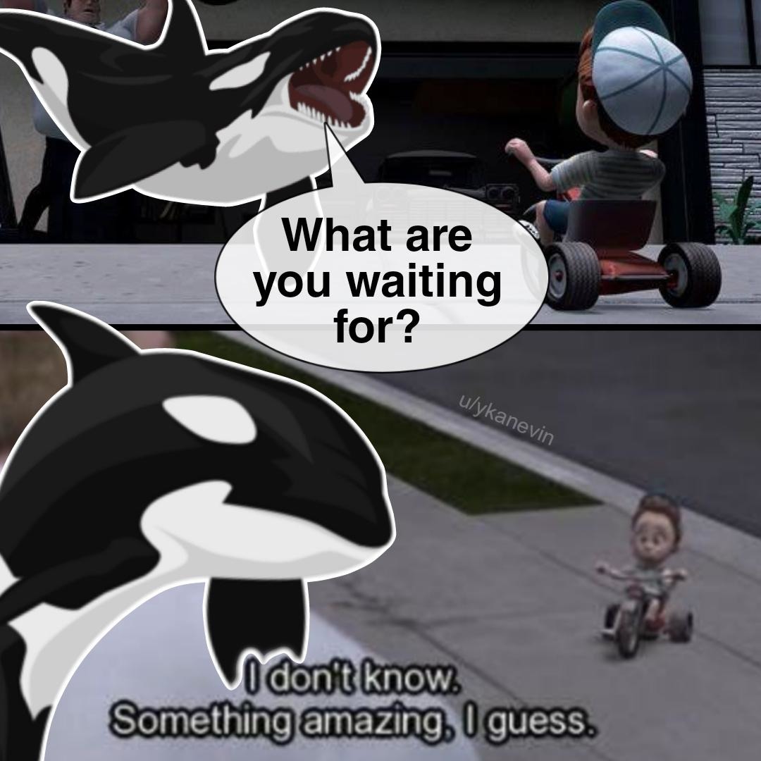 Waiting for the orcas to do something else - meme