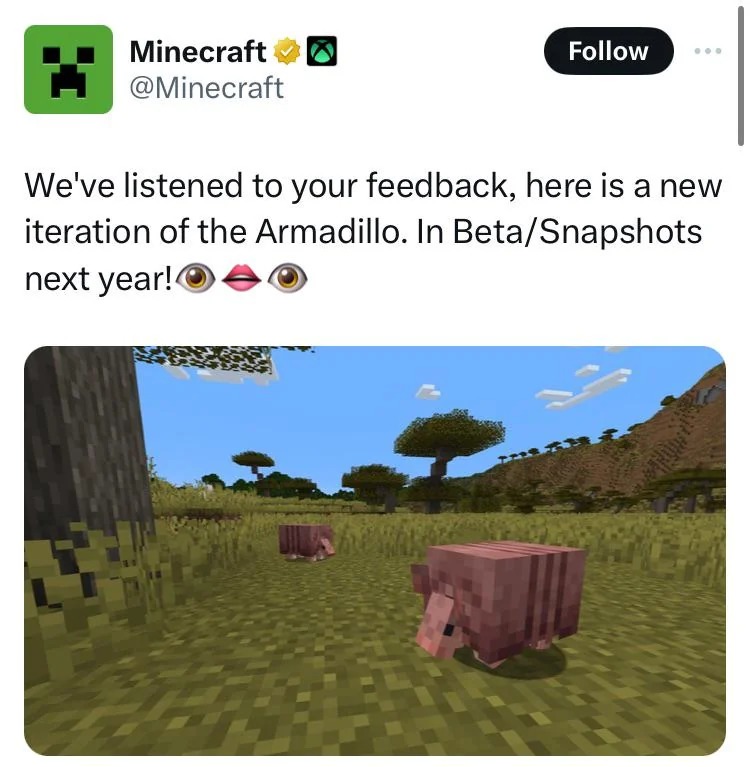 Minecraft Armadillo - meme