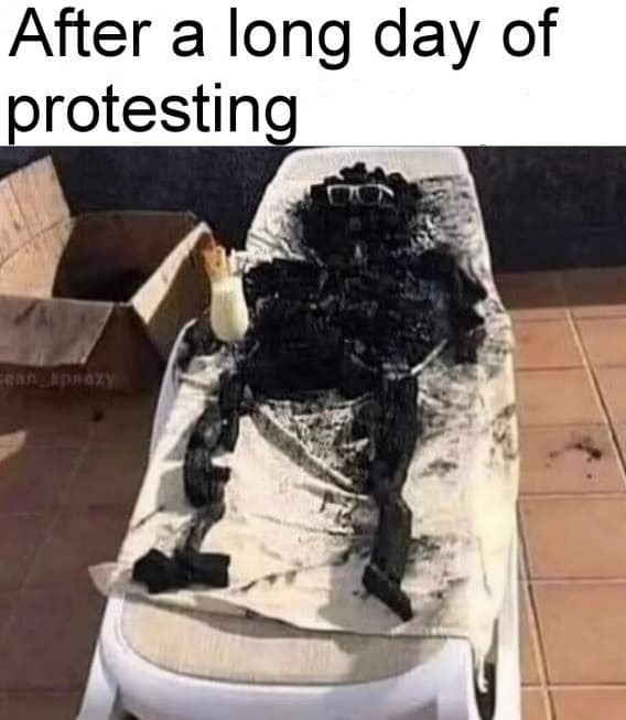 Protesting - meme