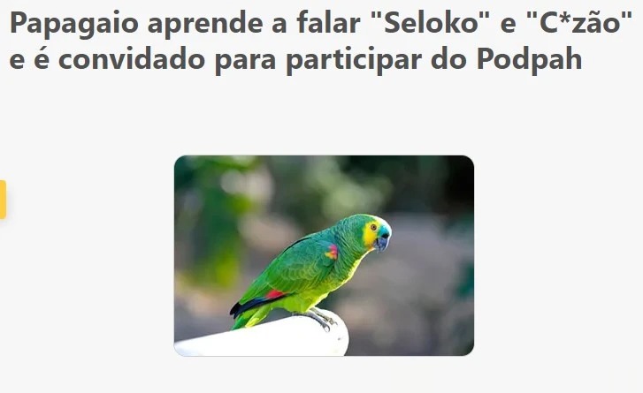 Seloko - meme