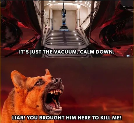 Dogs as soon as they see a liar - meme