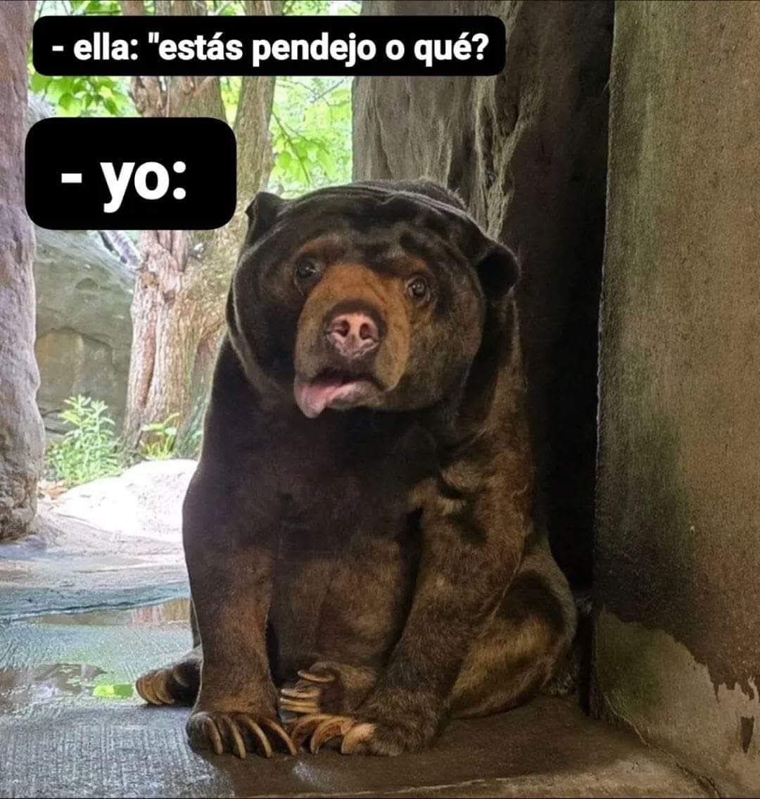No tenía idea que un animal podía tener autismo - meme