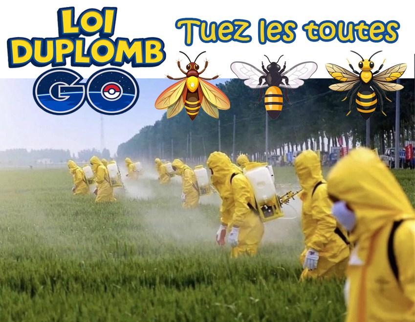 La loi Duplomb réintroduit un pesticide tueur d'abeilles - meme