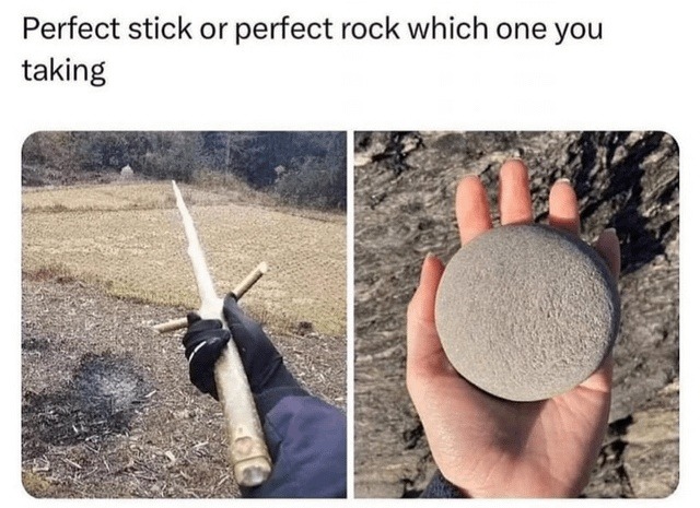 piedra o palo bro - meme