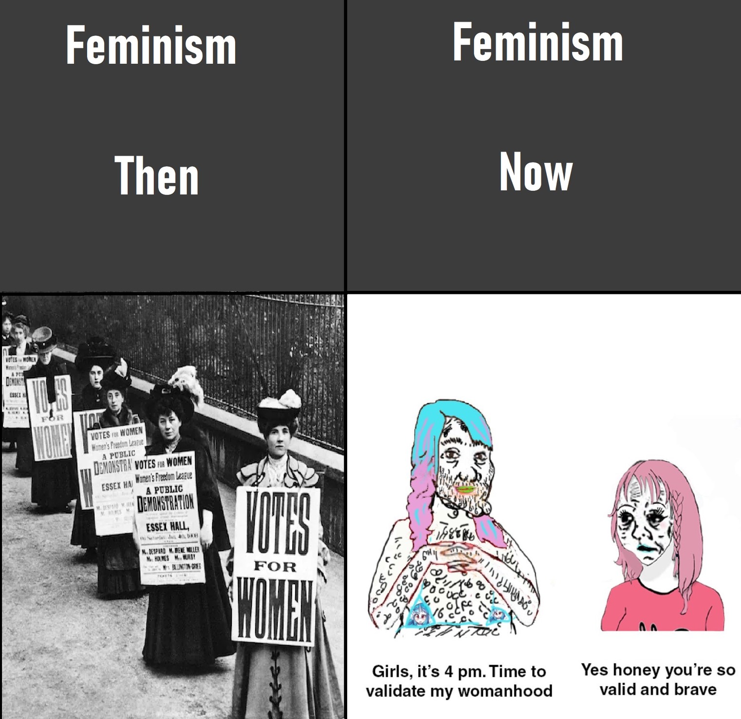 dongs in a feminist - meme