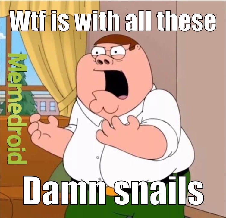 these damn snails - meme