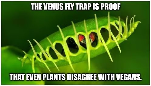 Venus fly trap - meme