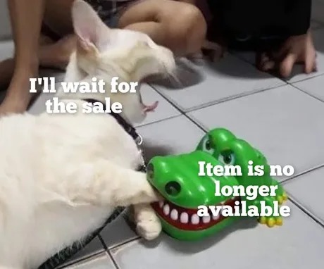 I'm that cat - meme