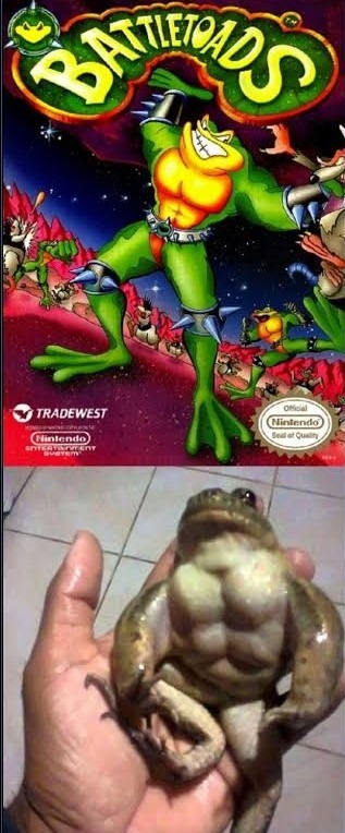Son ciclos sanos de esteroides - meme