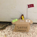 Le Turkish