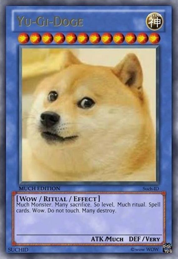Doge so skilled v - meme