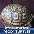 God turtle