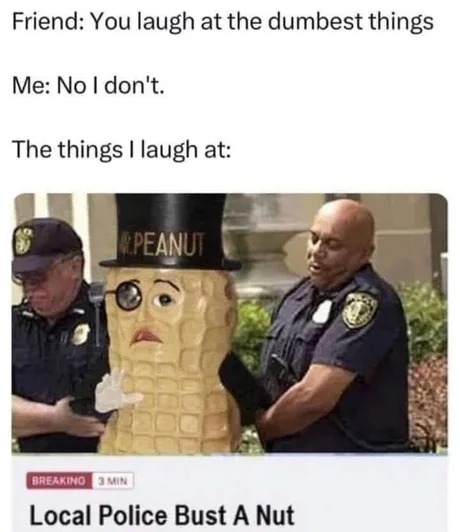 Local police bust a nut - meme