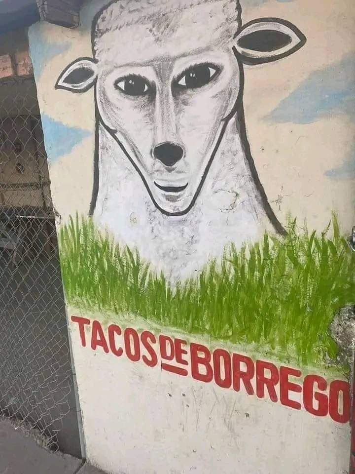 Sisa - meme